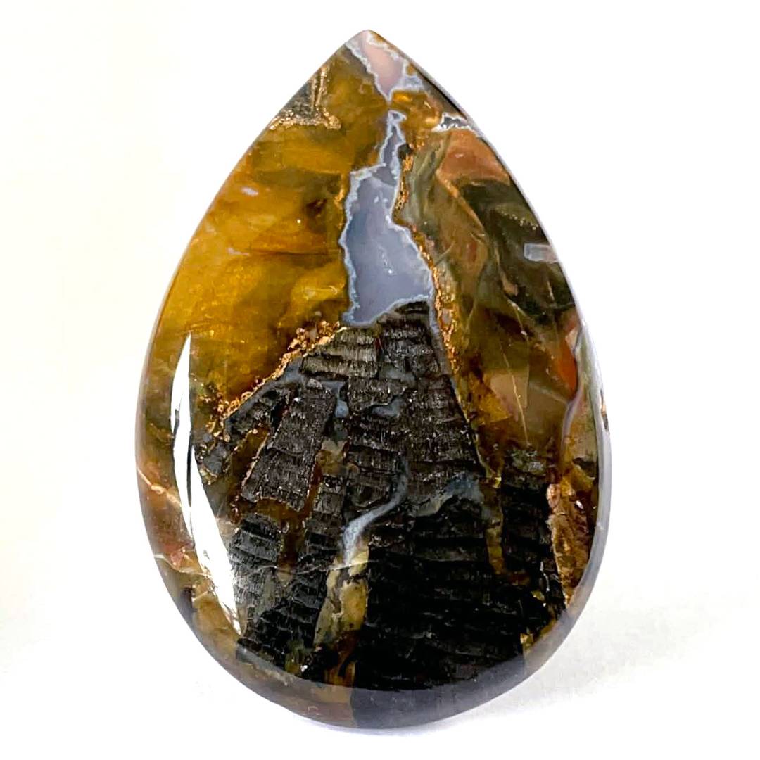 Agatized petrified wood cabochon