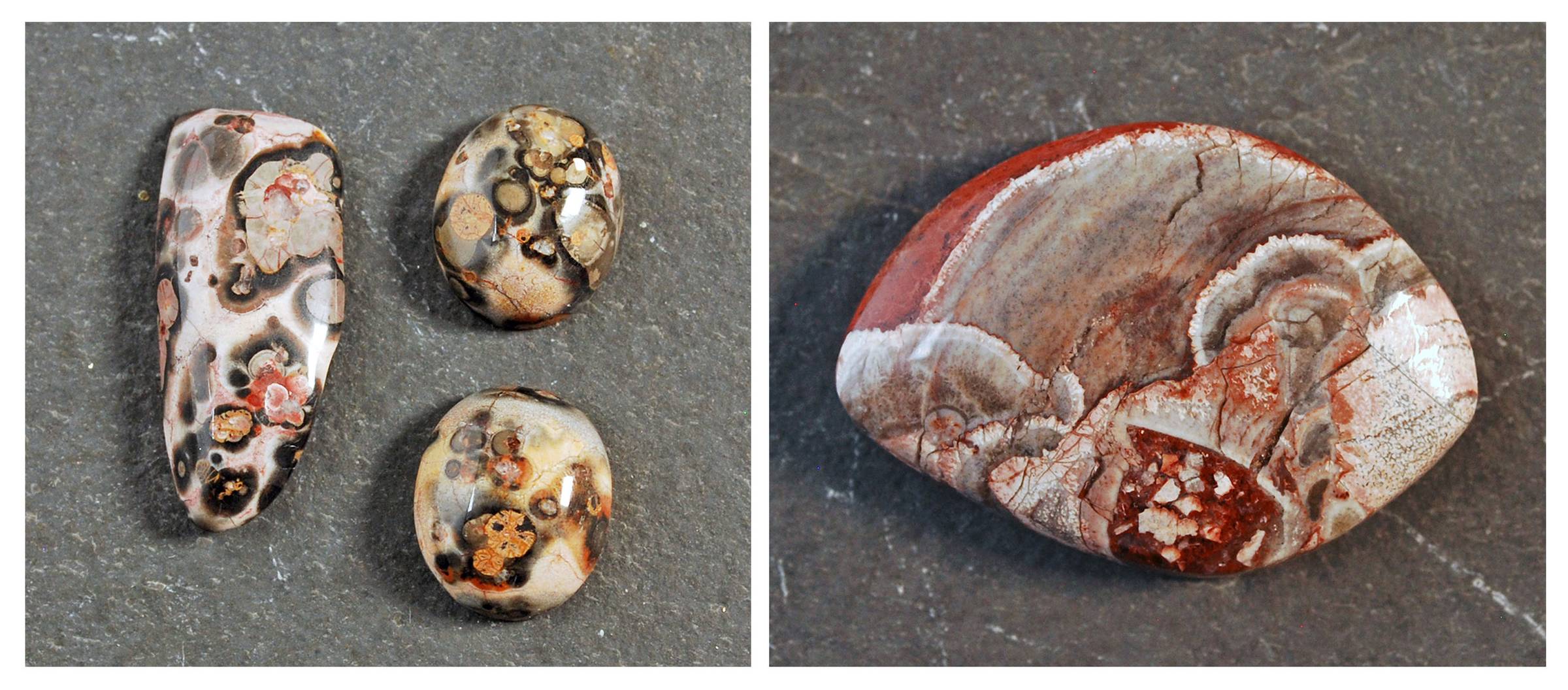 leopardskin and mushroom jasper cabochons