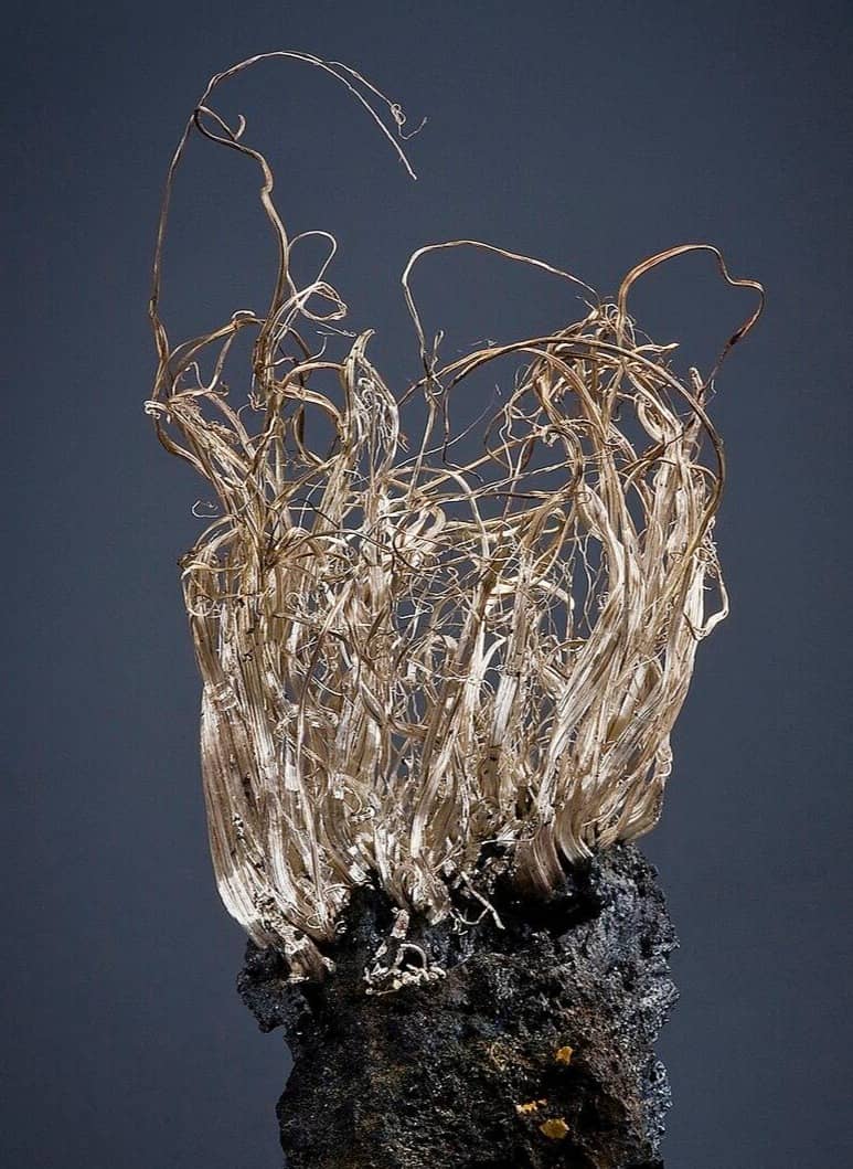 Image of hairlike strands of native silver