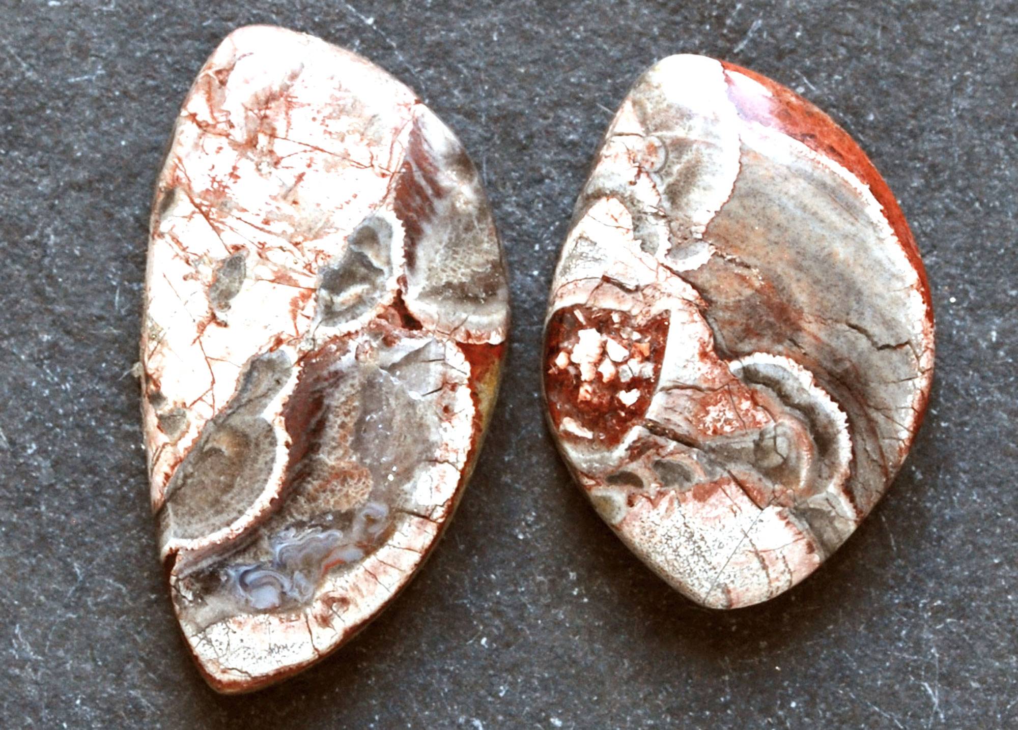 two mushroom rhyolite cabochons