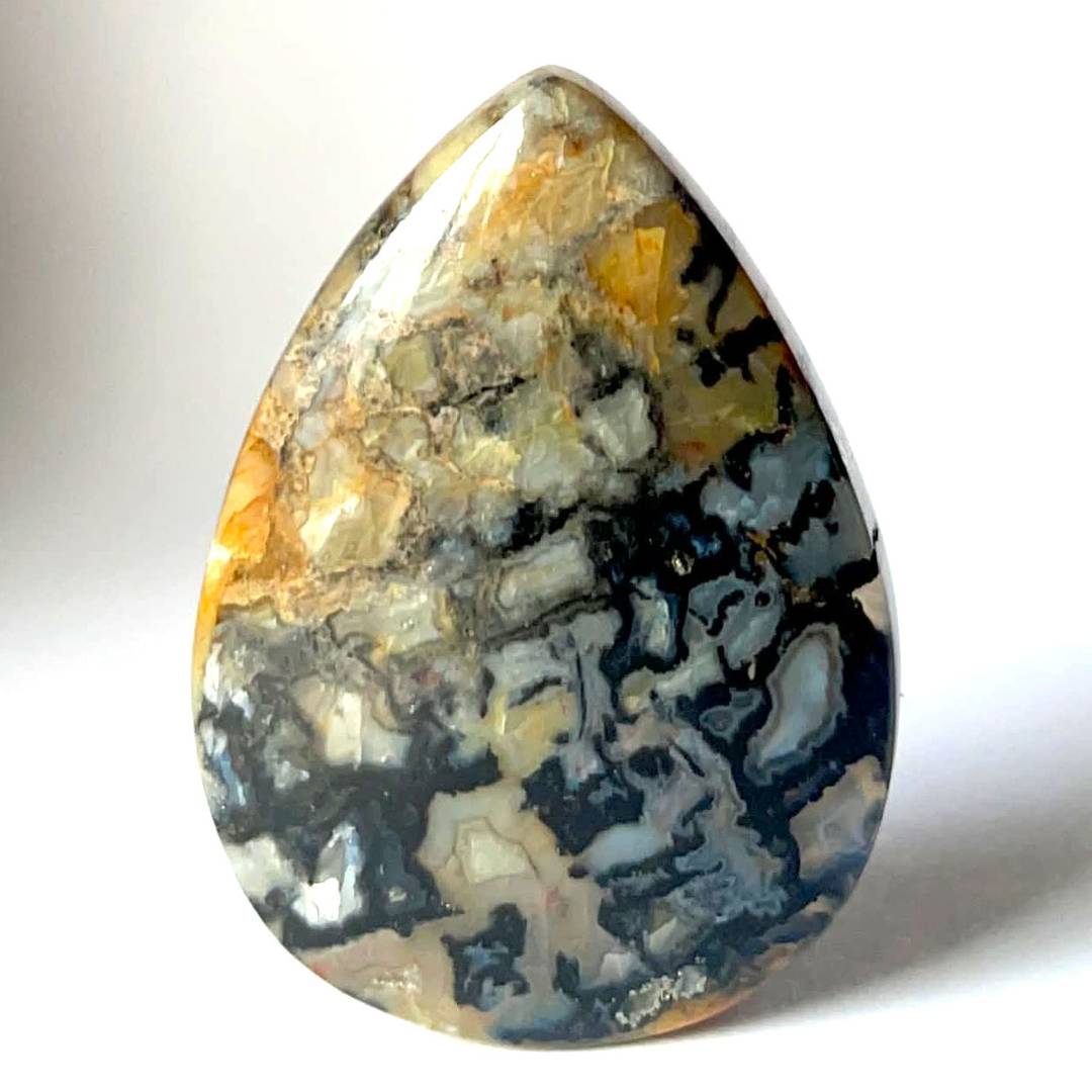Agatized petrified wood cabochon
