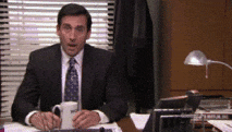 The Office gif. Steve Carrell as Michael Scott opens his mouth and eyes wide in shock, blinking as the camera zooms in.