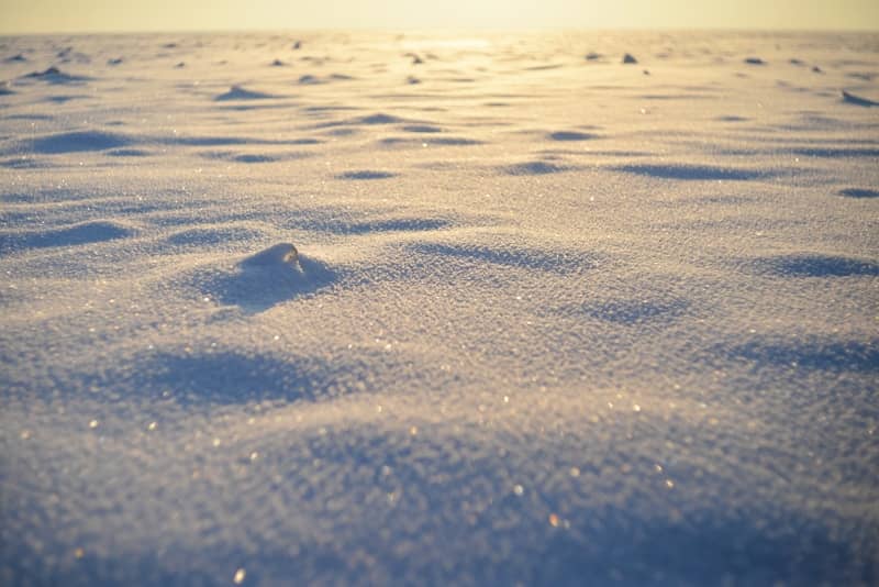 Emotional regulation toolkit