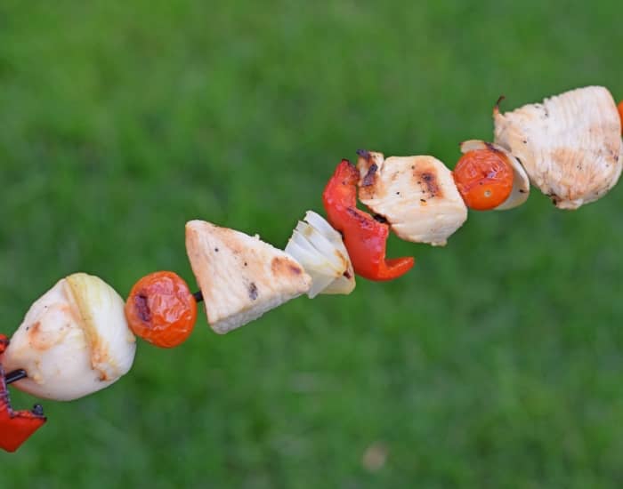 Image shows a chicken kebab with veggies against a vivid green grass background.