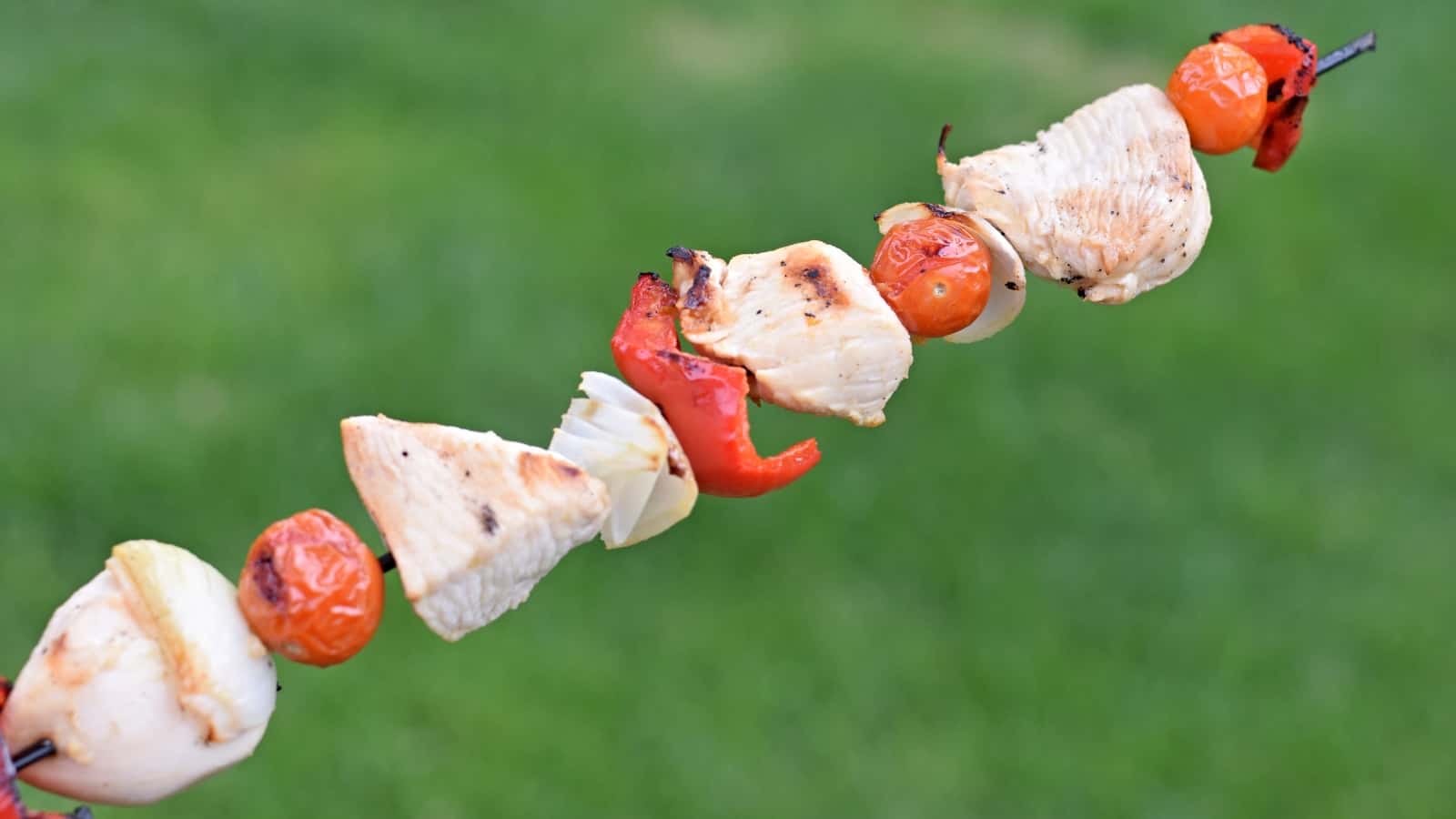 A chicken kebab with vegetables held over green grass.