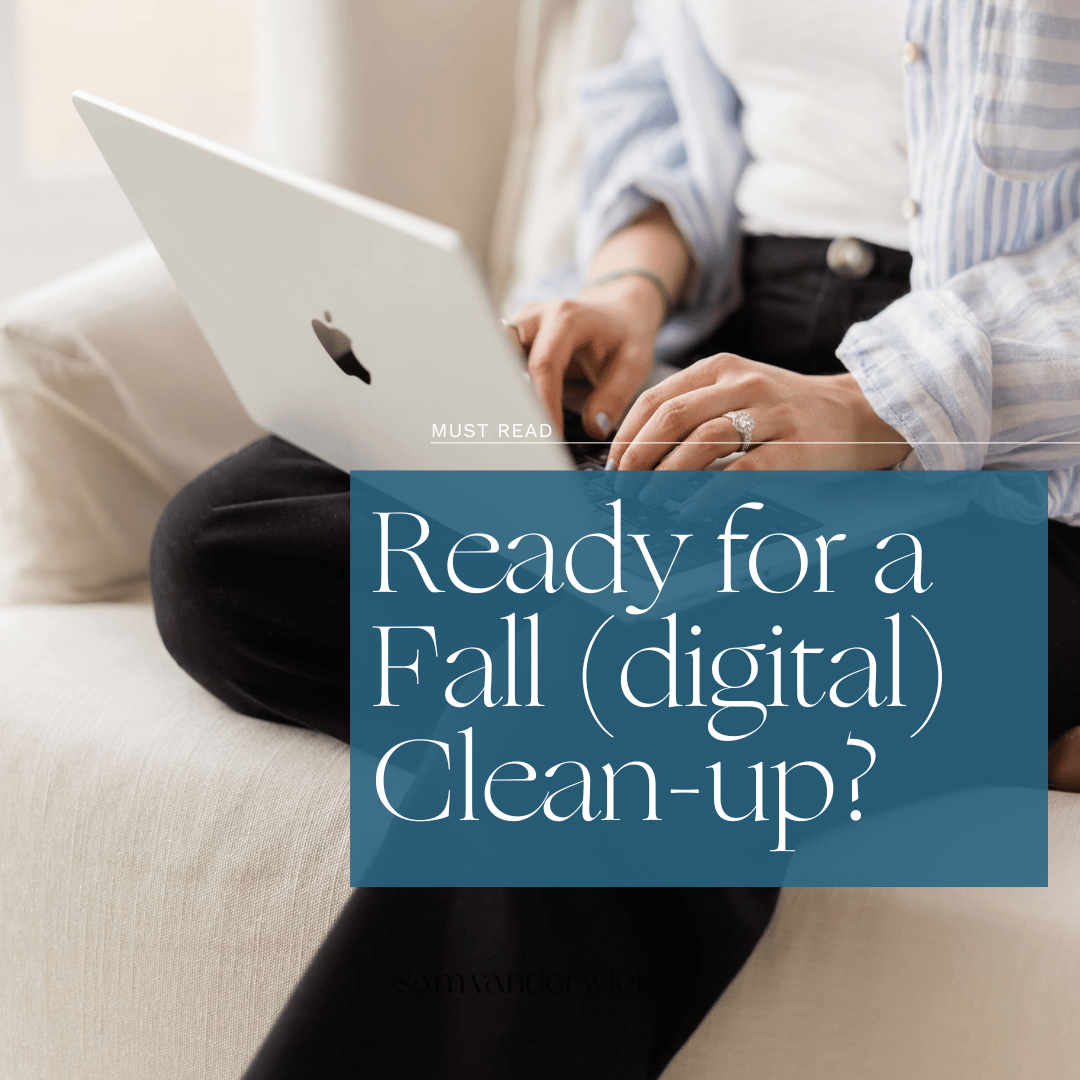 ready for a fall digital clean-up?