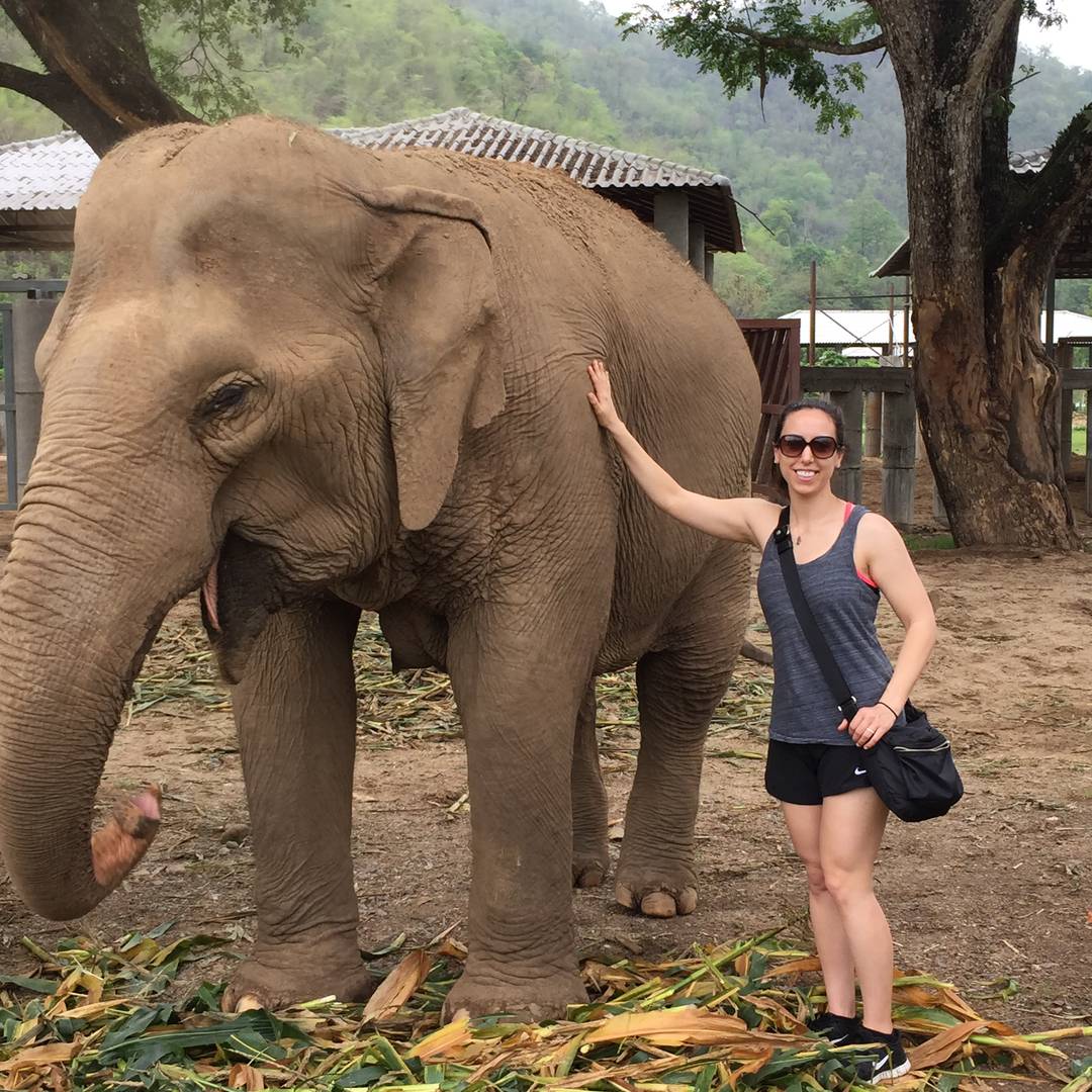 sam in thailand hugging an elephant