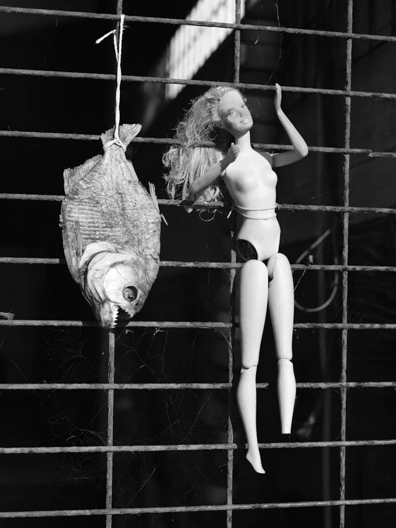 Dried fish and doll hanging on a fence