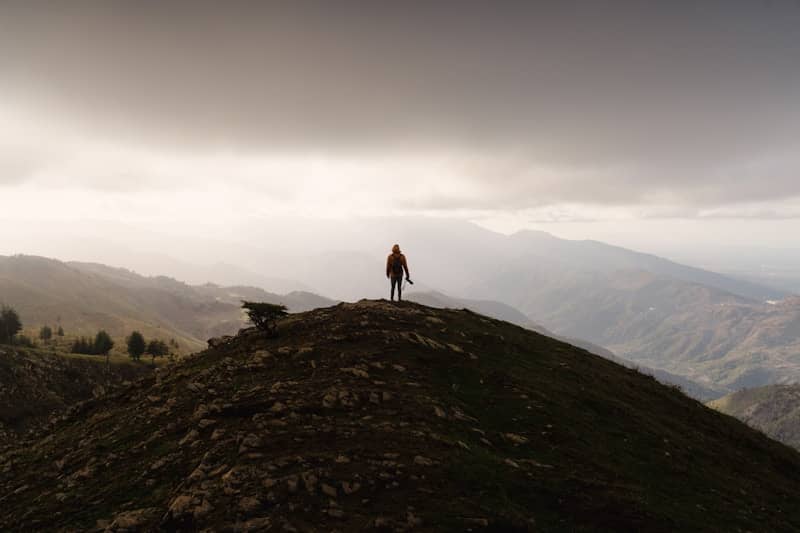 A person standing on top of a hill with a dog