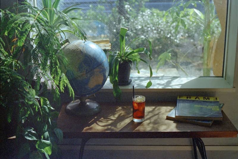 Globe and drink on desk by sunny window with plants