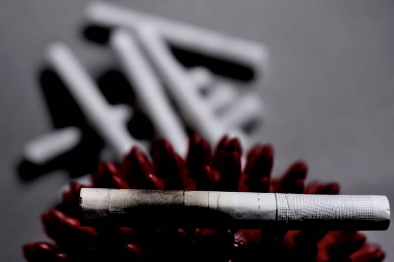 A lit cigarette rests on a red, spiky object.