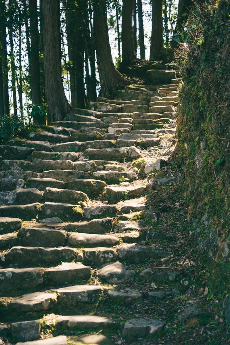 Ancient stone steps winding through a sunlit forest.