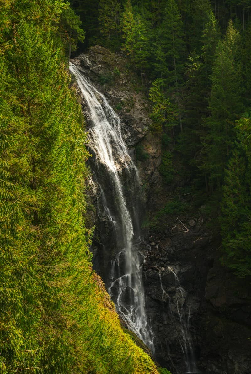 A waterfall cascading down a dark rocky cliff surrounded by dense evergreen trees