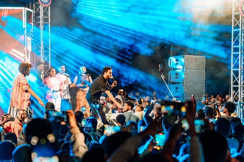 A band performs for a large crowd at a concert.