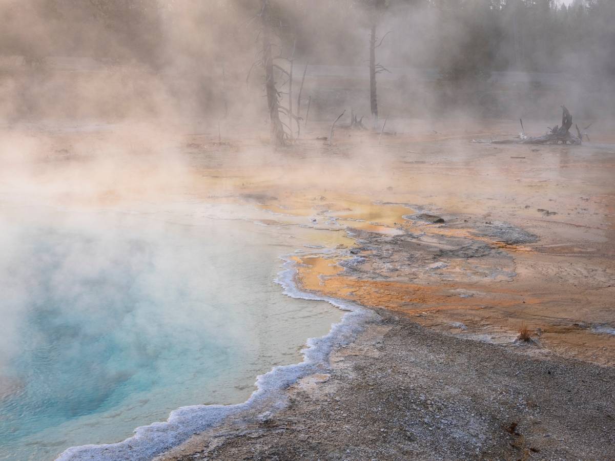 thermal features in yellowstone