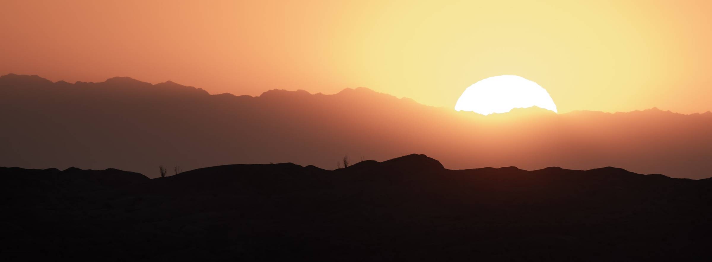 sunrising over ocotillo in anza-borrego