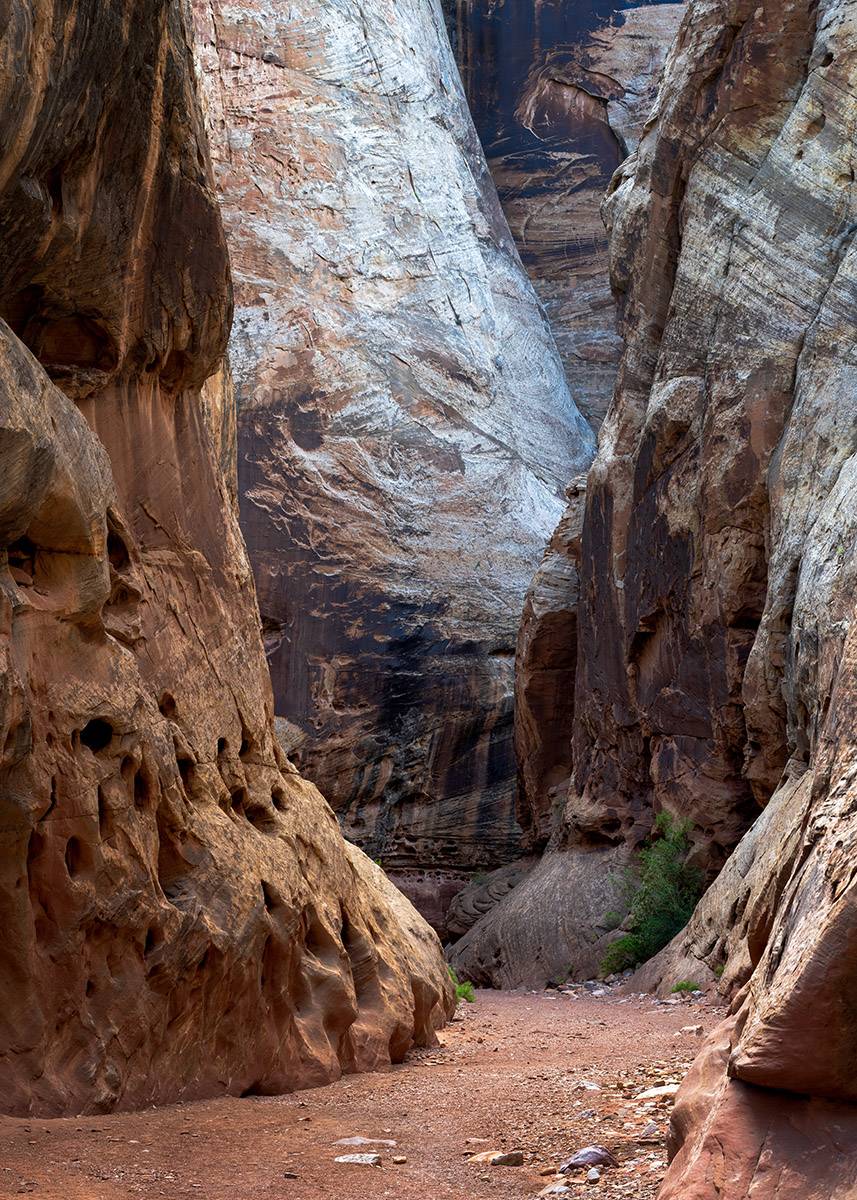 canyon in capitol reef