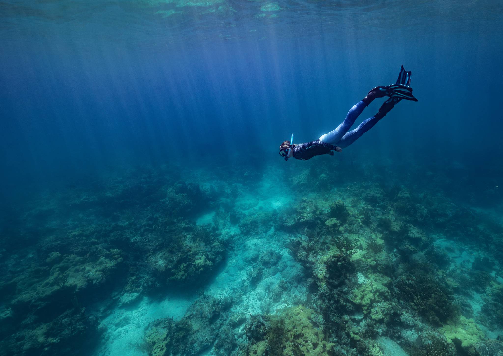 Jennifer freediving in the ocean