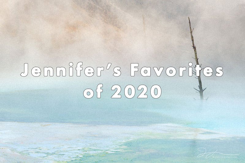Jennifer's Favorites of 2020