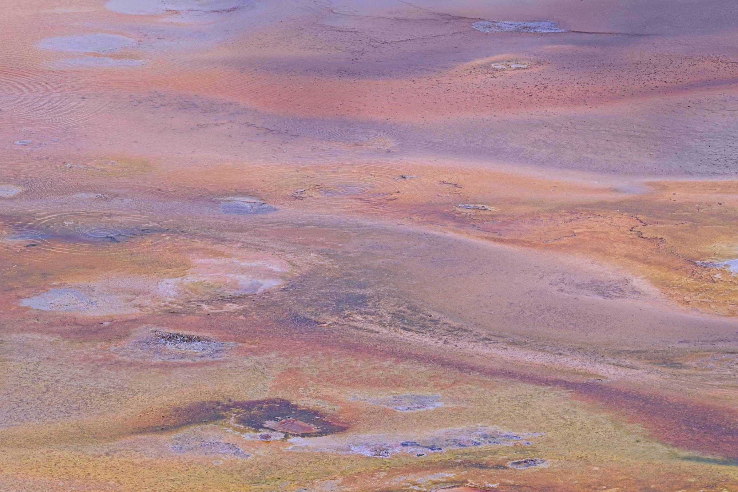 thermal features in yellowstone