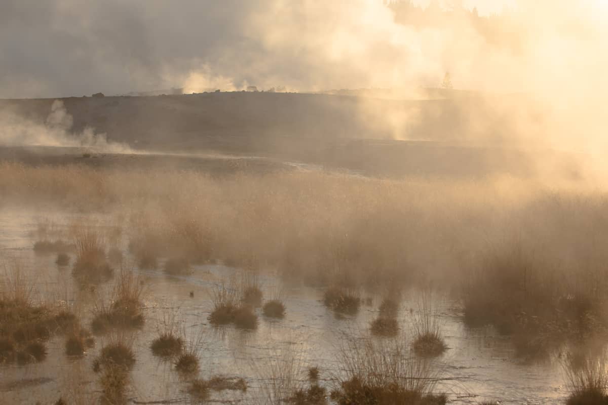 steam rising from geyser basin