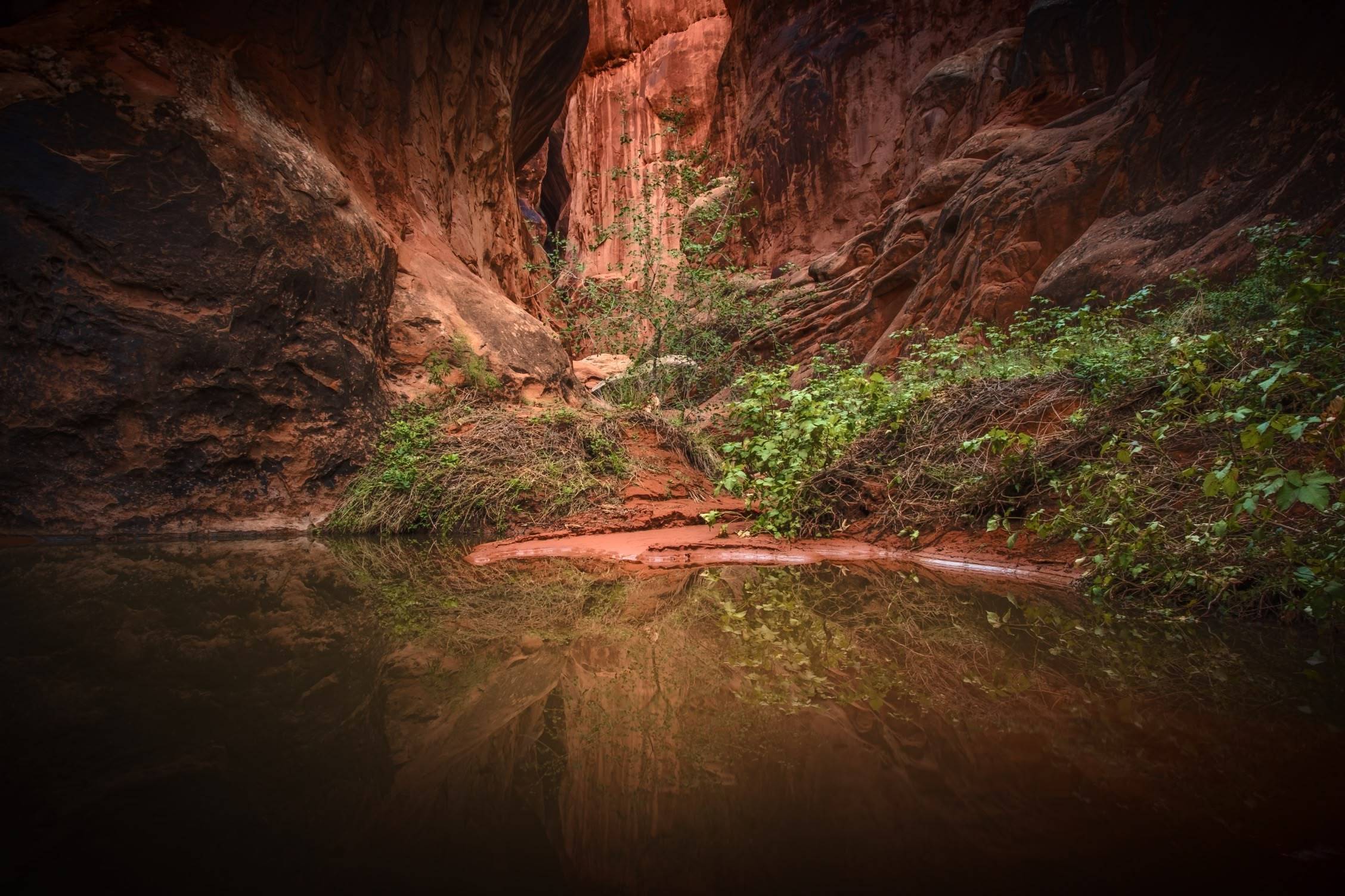 canyon in Moab