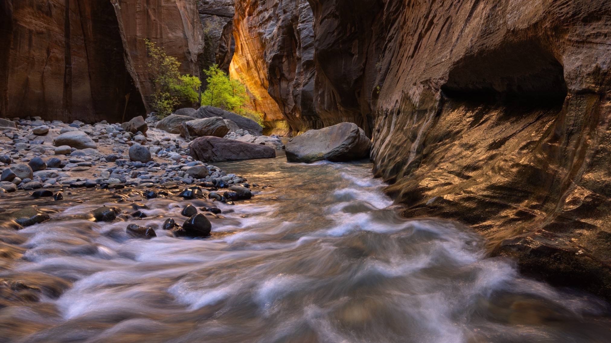 zion narrows