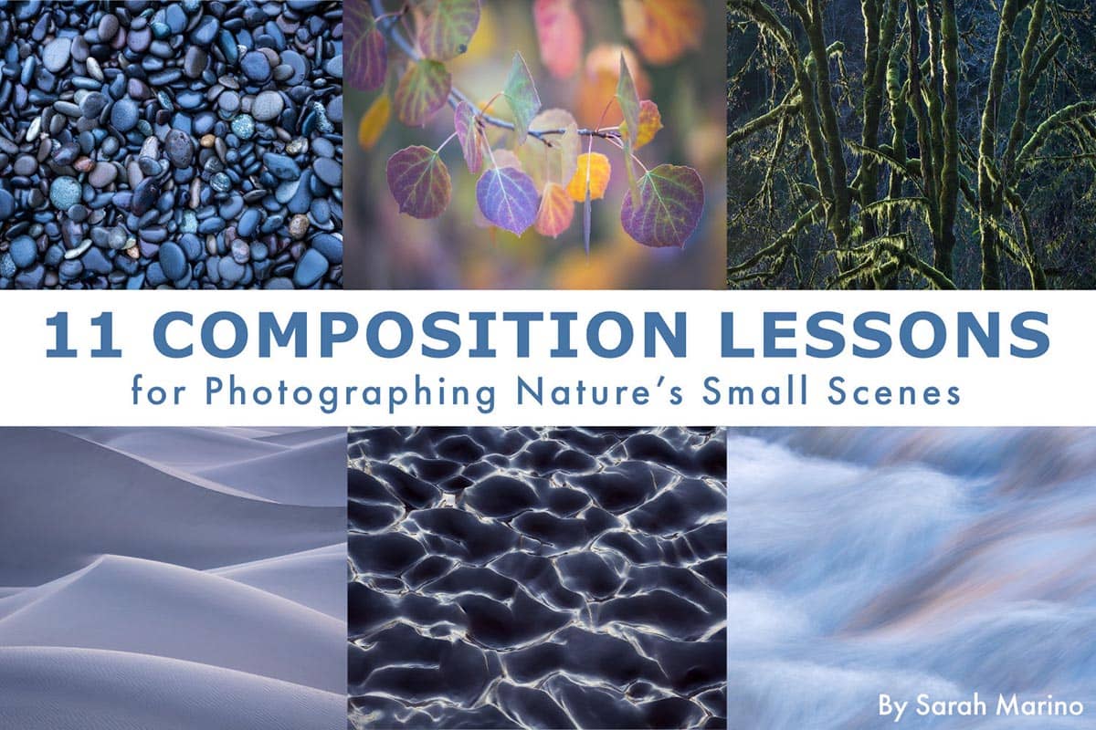 11 Composition Lessons