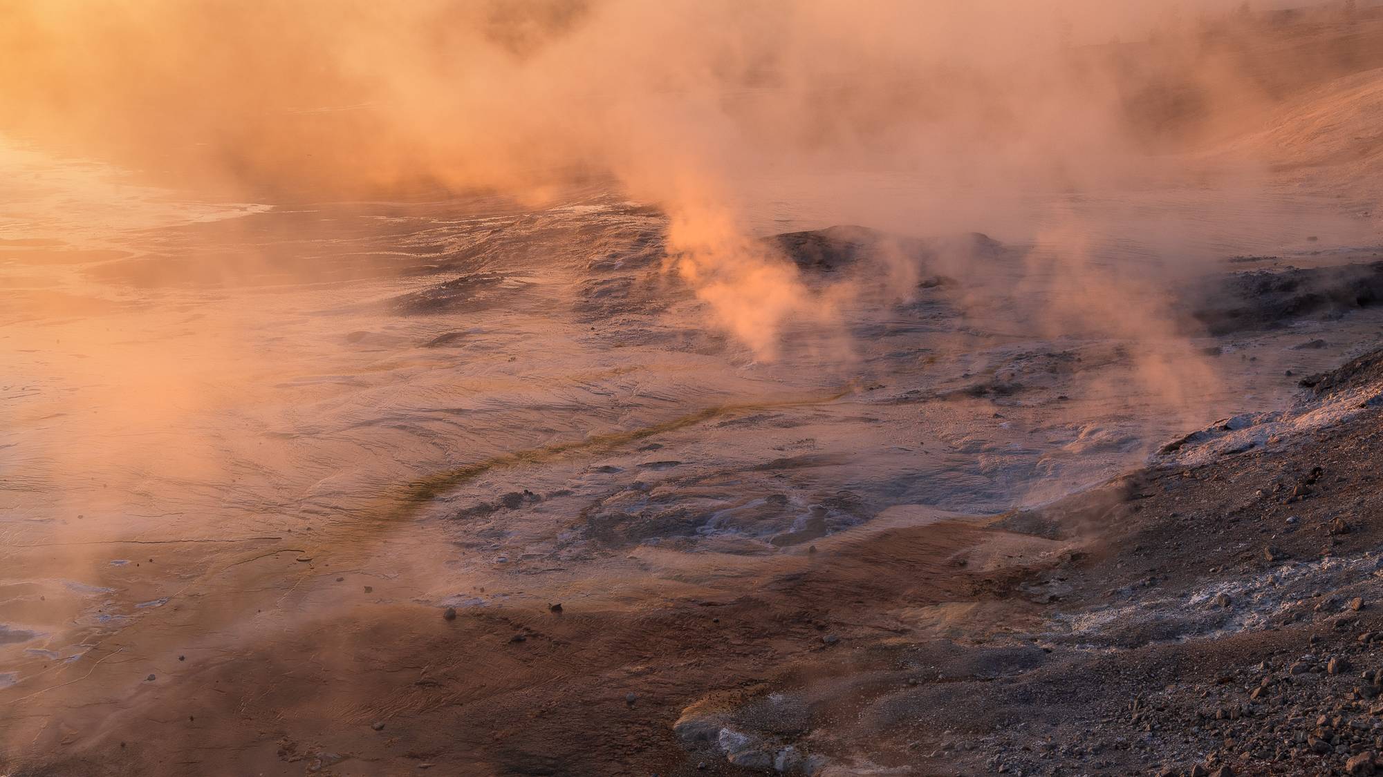 Yellowstone Workshops