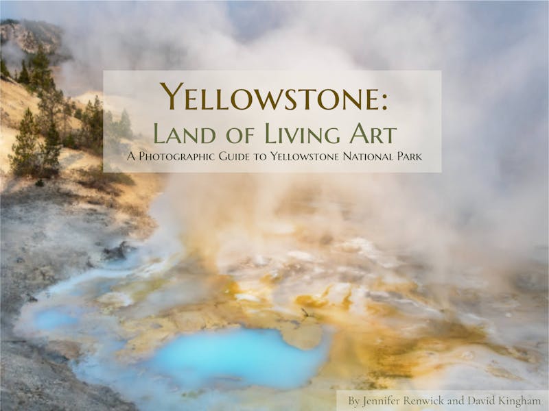Yellowstone guide book - click to be notified