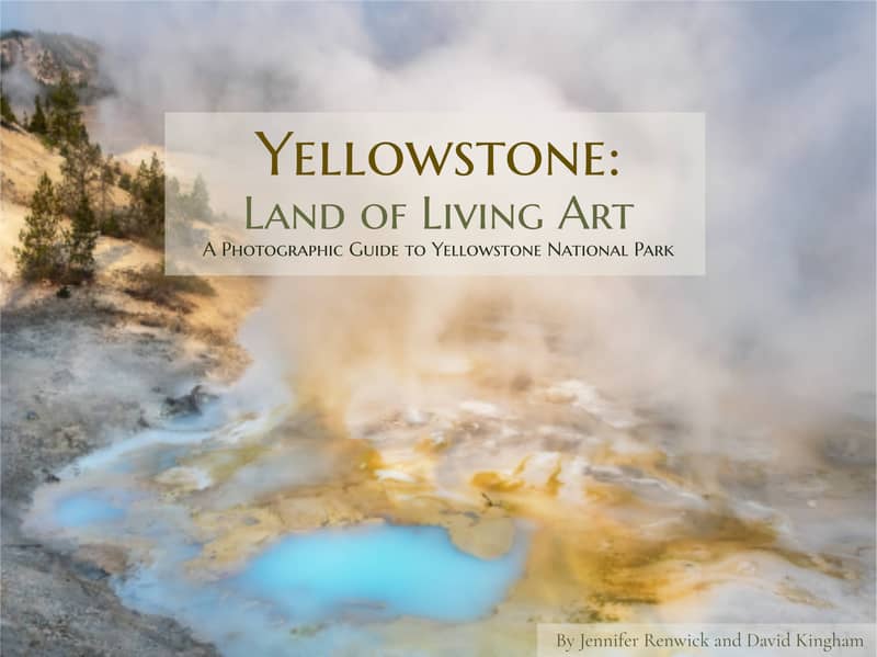 Yellowstone guide book - click to be notified