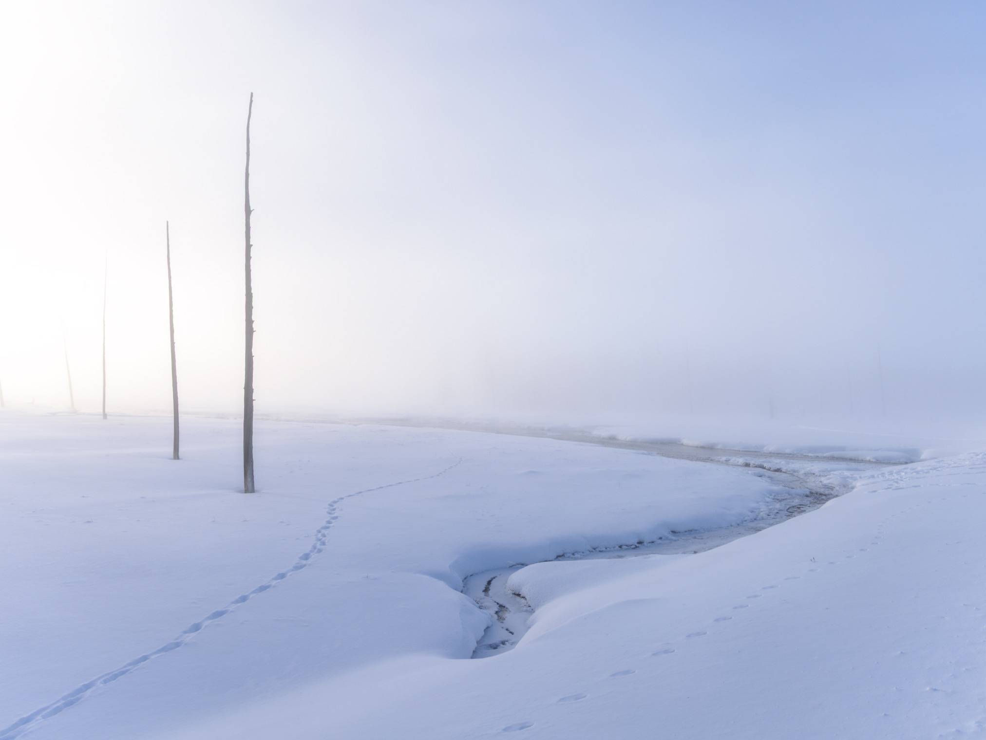 winter yellowstone scene