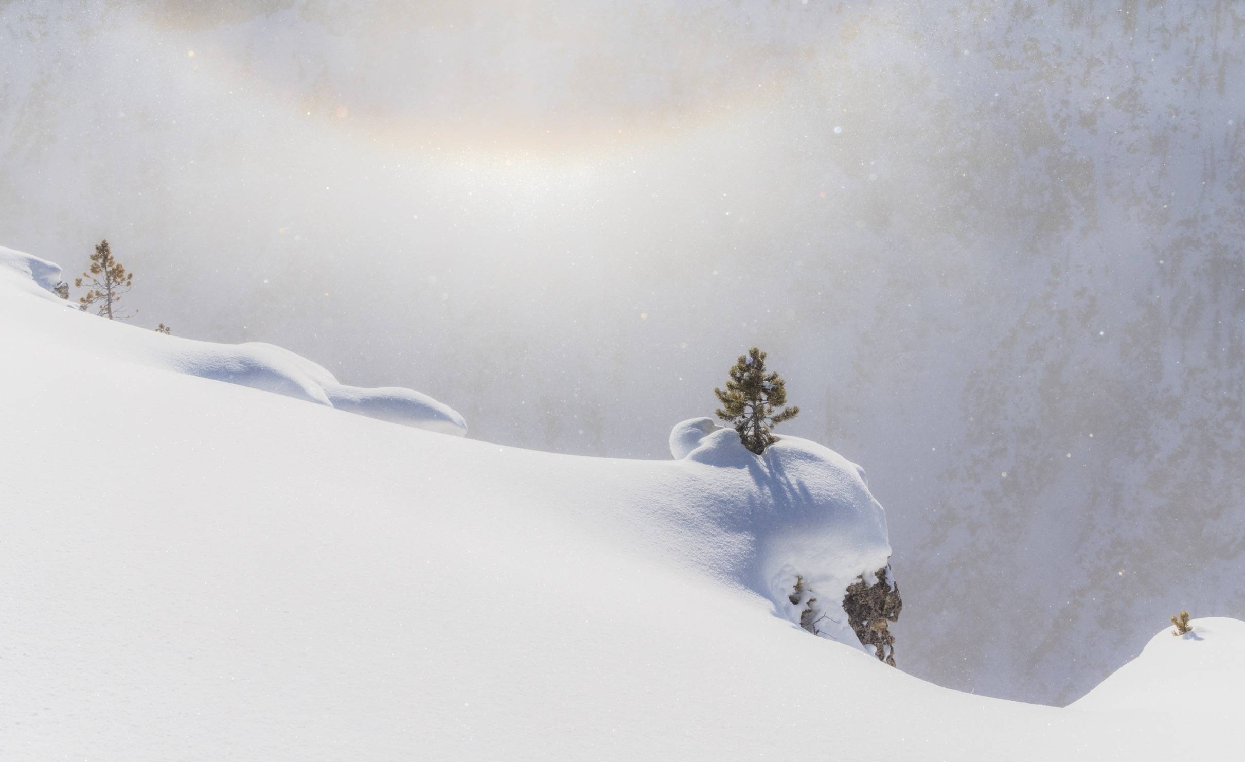 A serene winter landscape featuring a snow-covered slope with a few small evergreen trees poking through the snow. The background has a gentle, glowing light with a subtle haze, creating a peaceful and ethereal atmosphere. Snowflakes are lightly falling, 