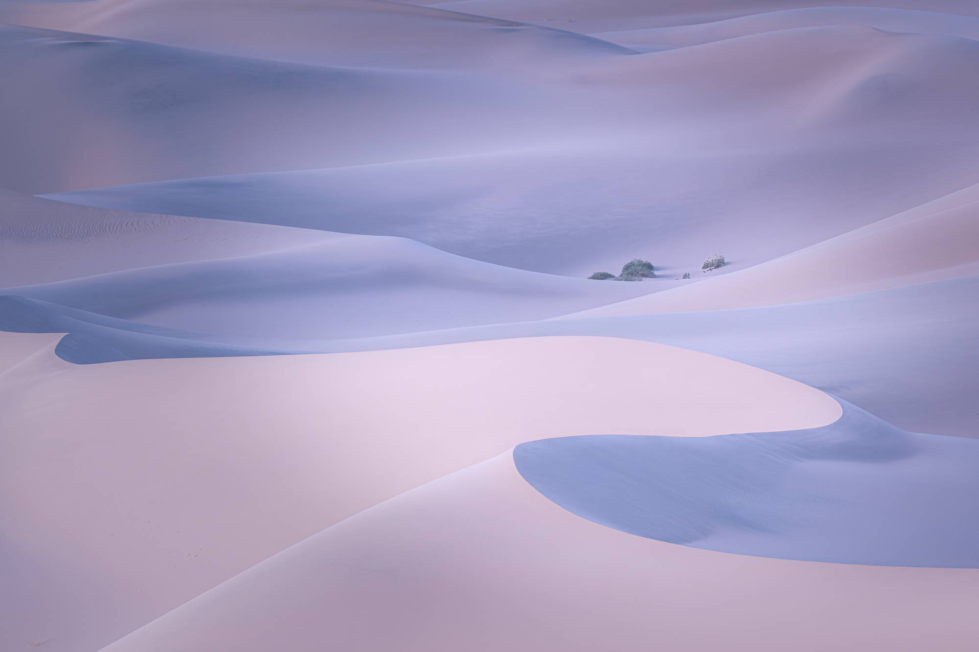 pastel dunes