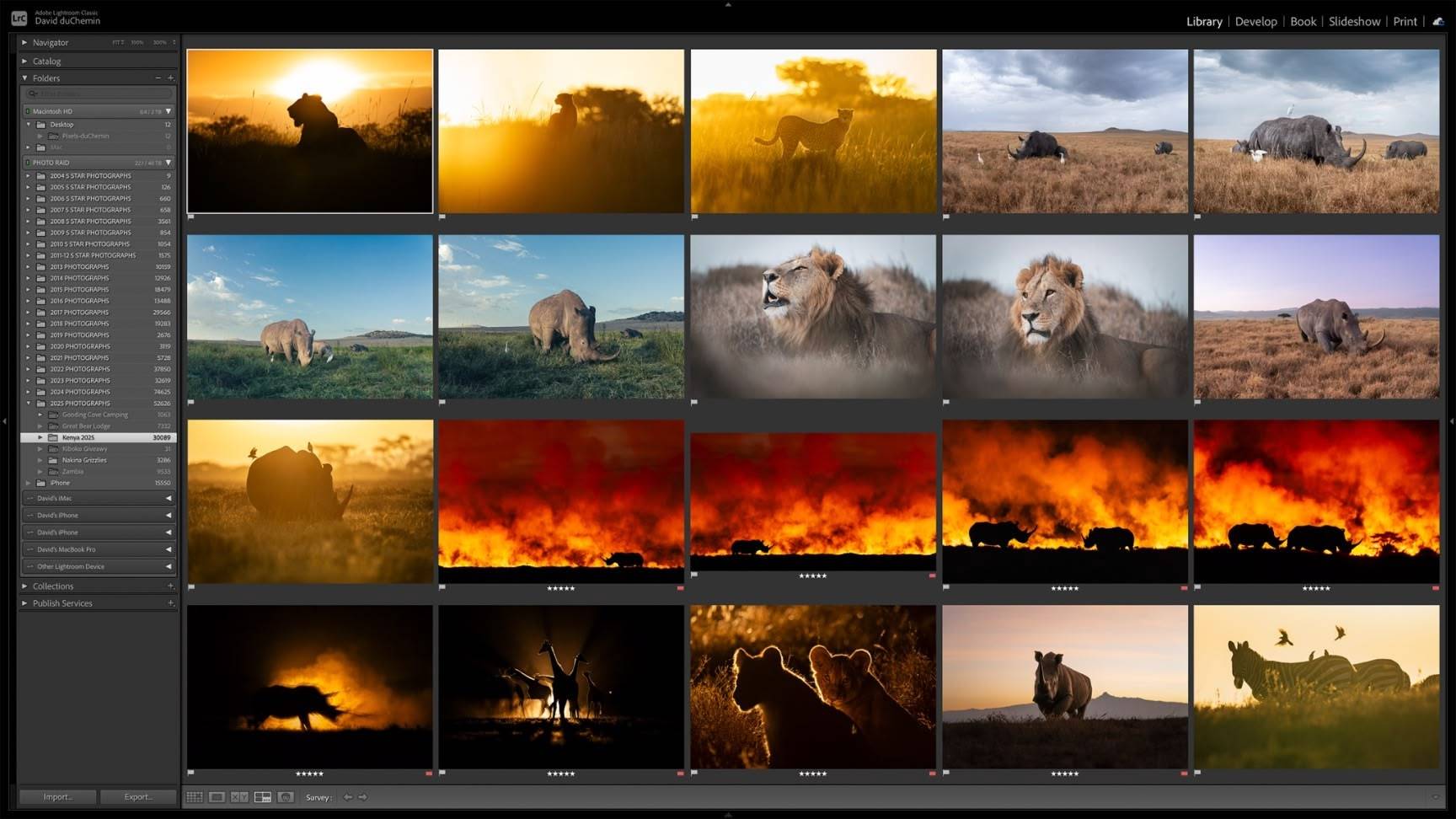 lightroom catalog