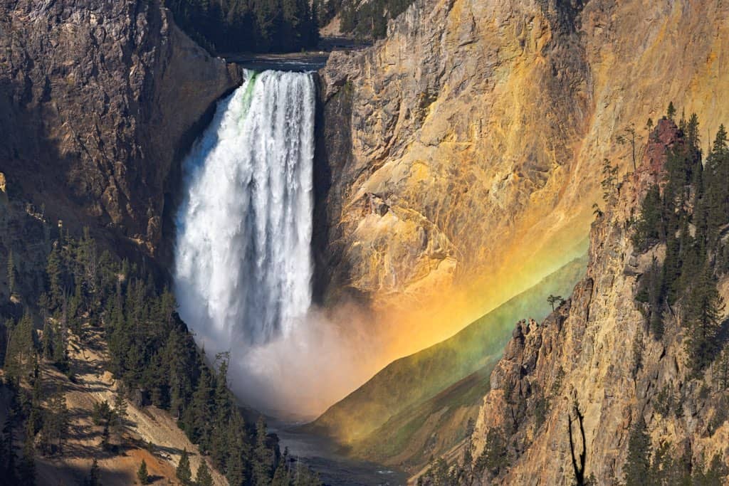 lower yellowstone falls with rainbow