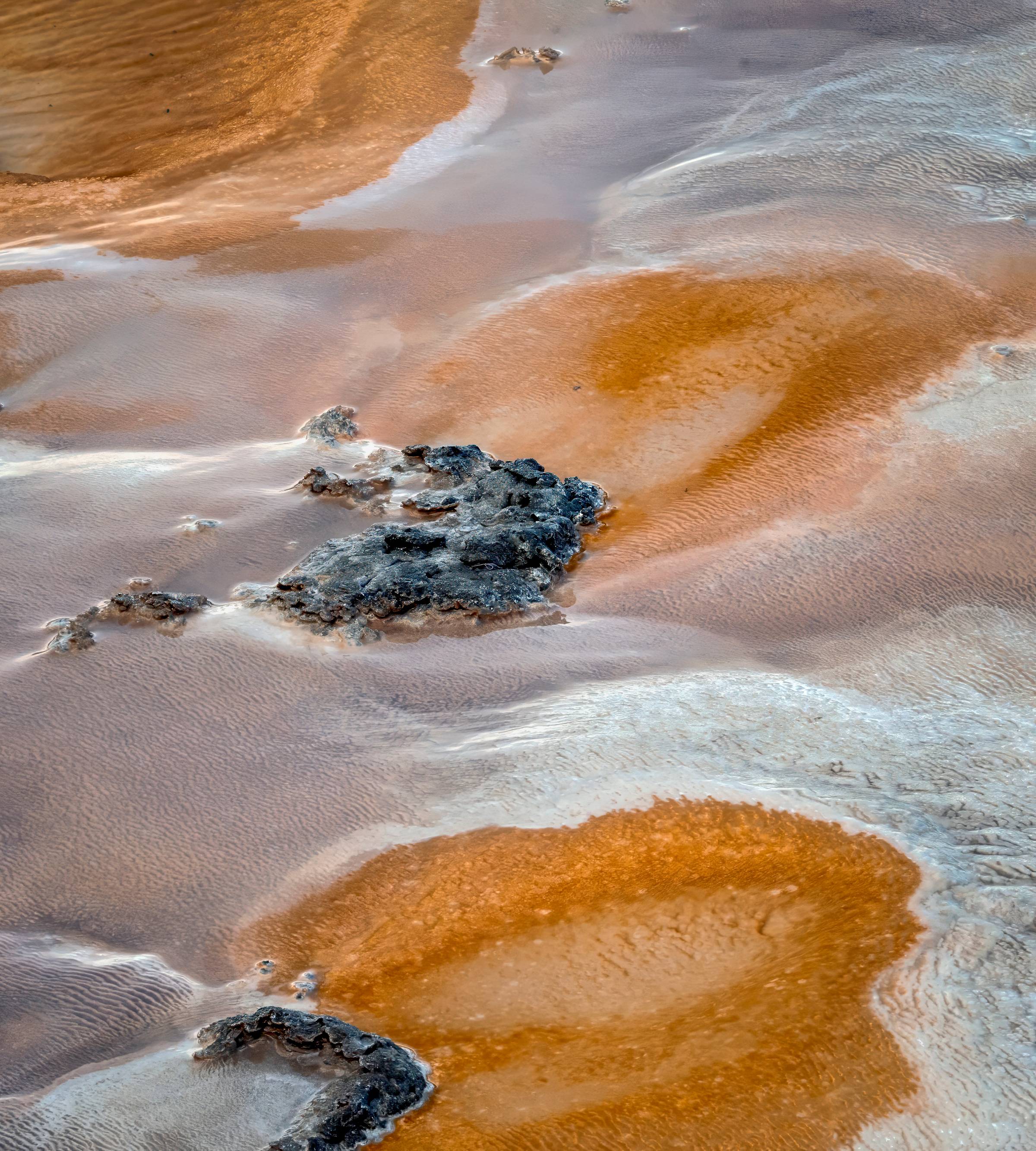 thermal features in yellowstone