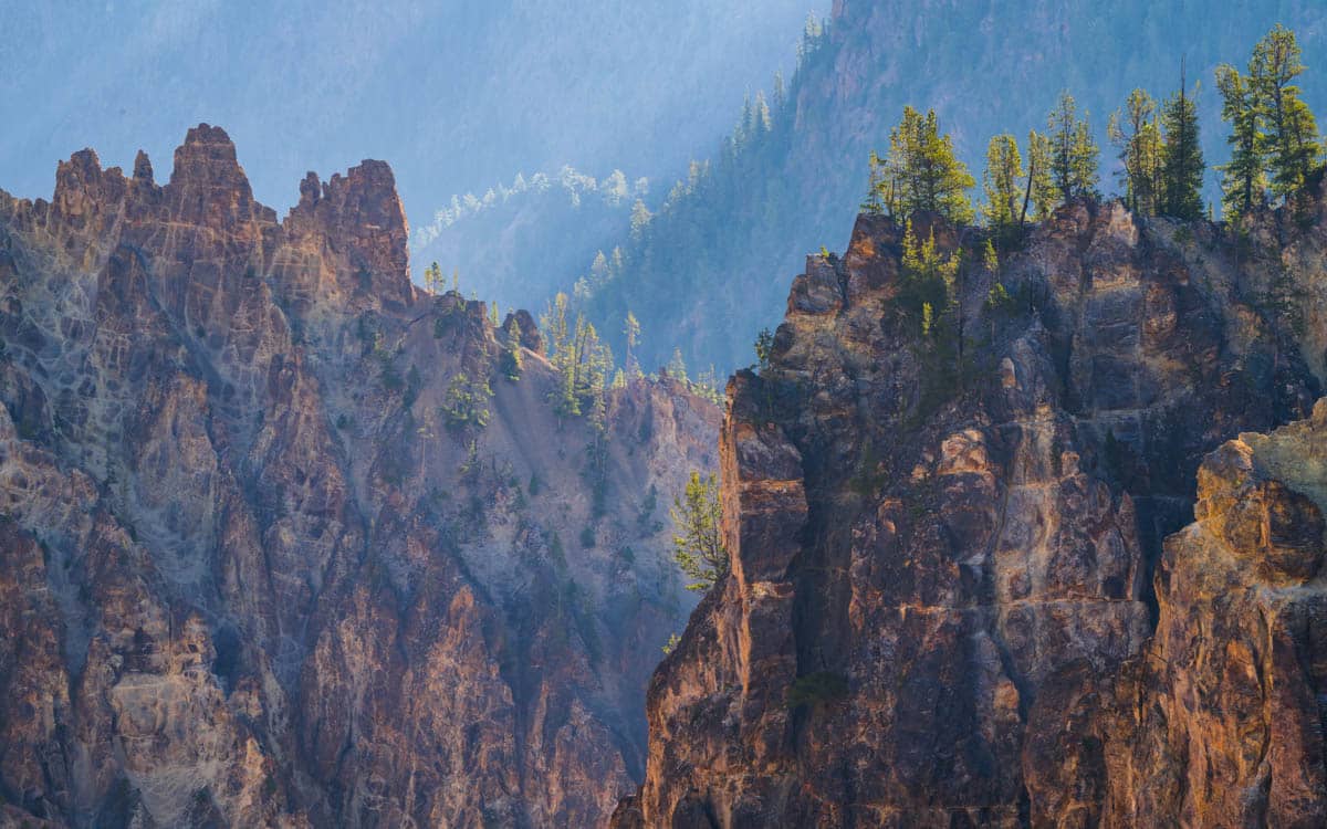 details of rocks and trees in grand canyon of the yellowstonee