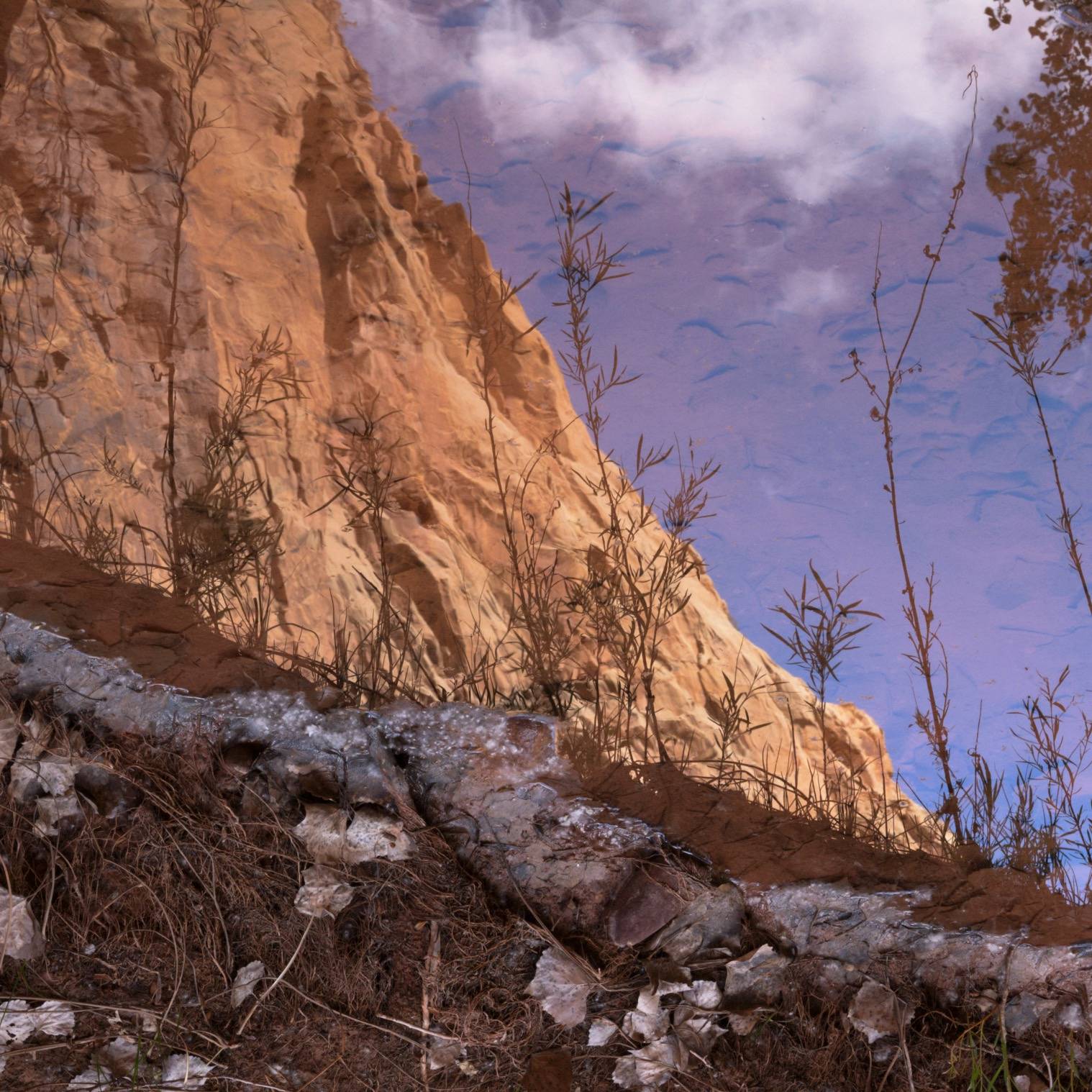 reflections in a canyon river