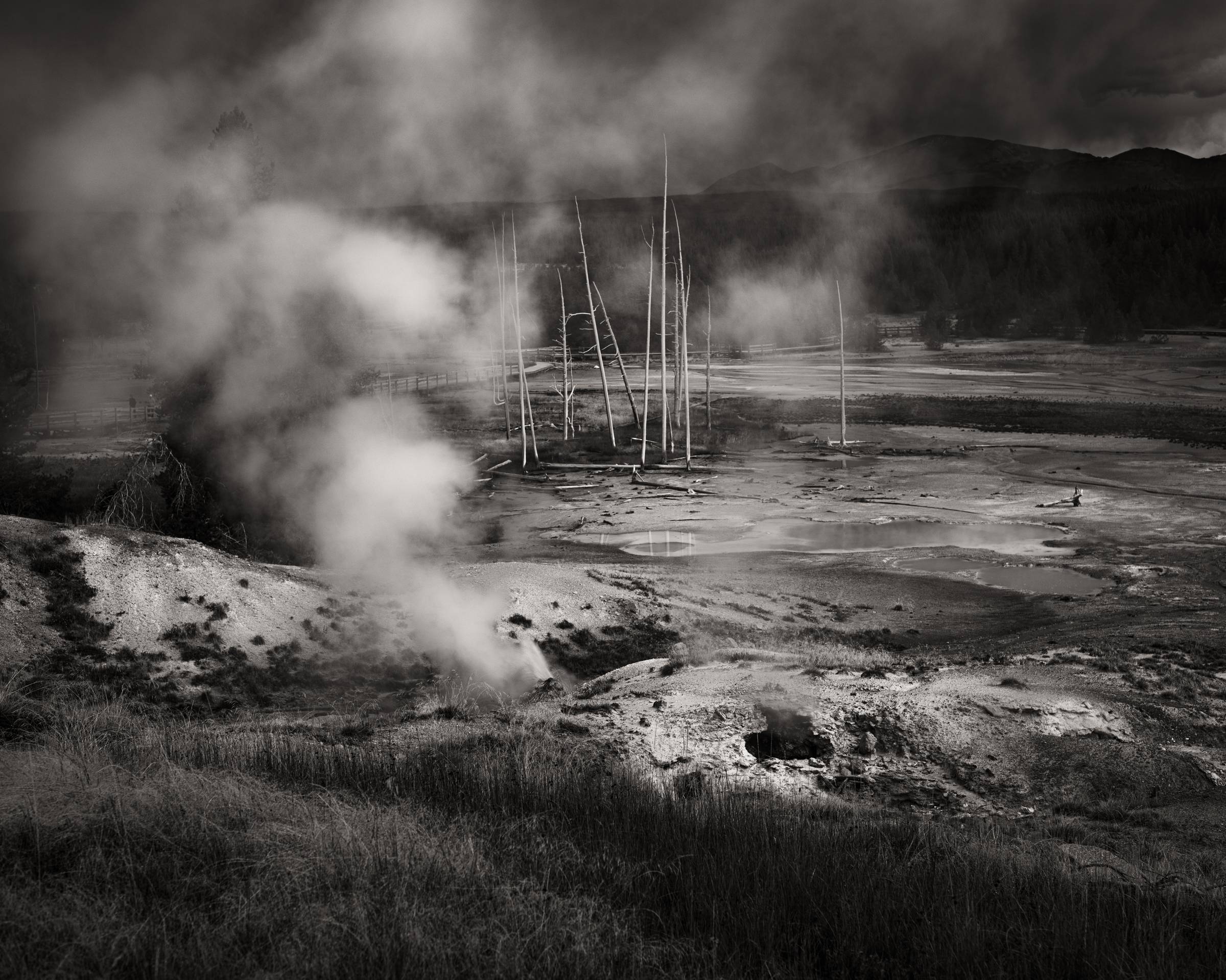 norris geyser basin