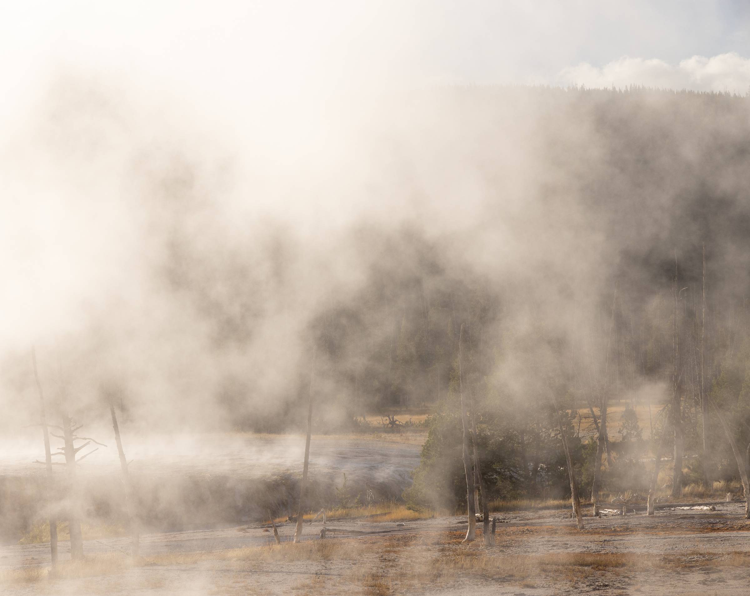 steam in yellowstone