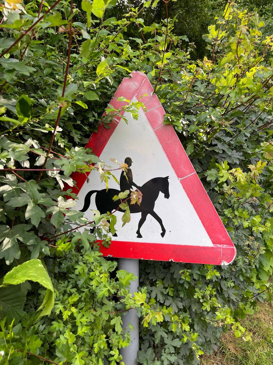 Internal Audit - hidden vendor risk and budget leakage through sub-threshold invoice splitting