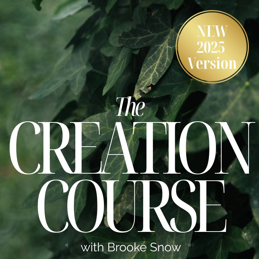 The Creation Course