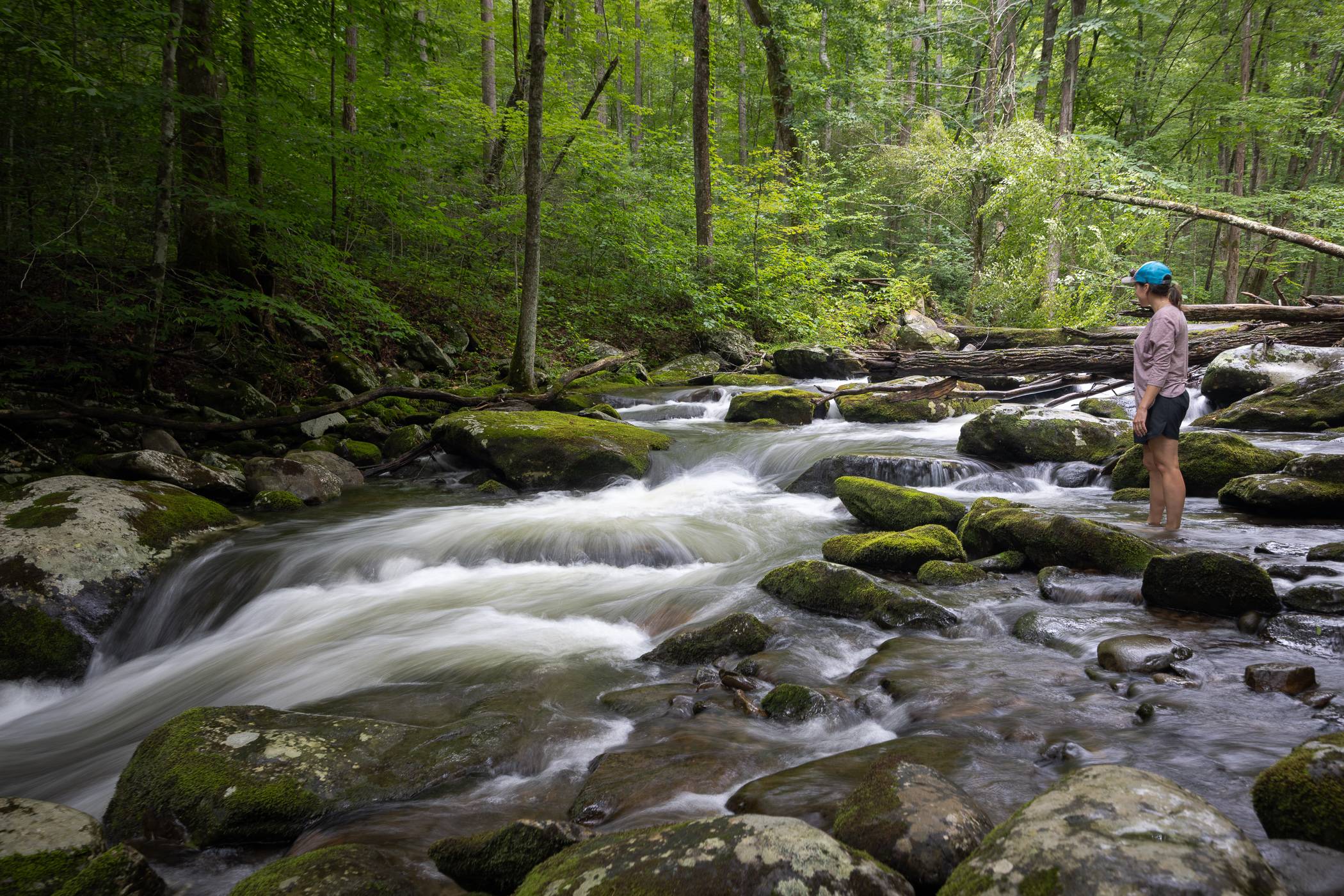 Woman standing admiring the cascades of water in the Middle Prong River in the Great Smoky Mountains National Park
