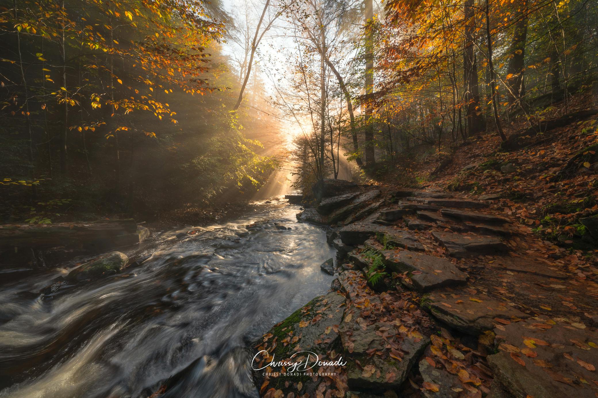 Landscape Photography of sunrise in Great Smokey Mountain National Park