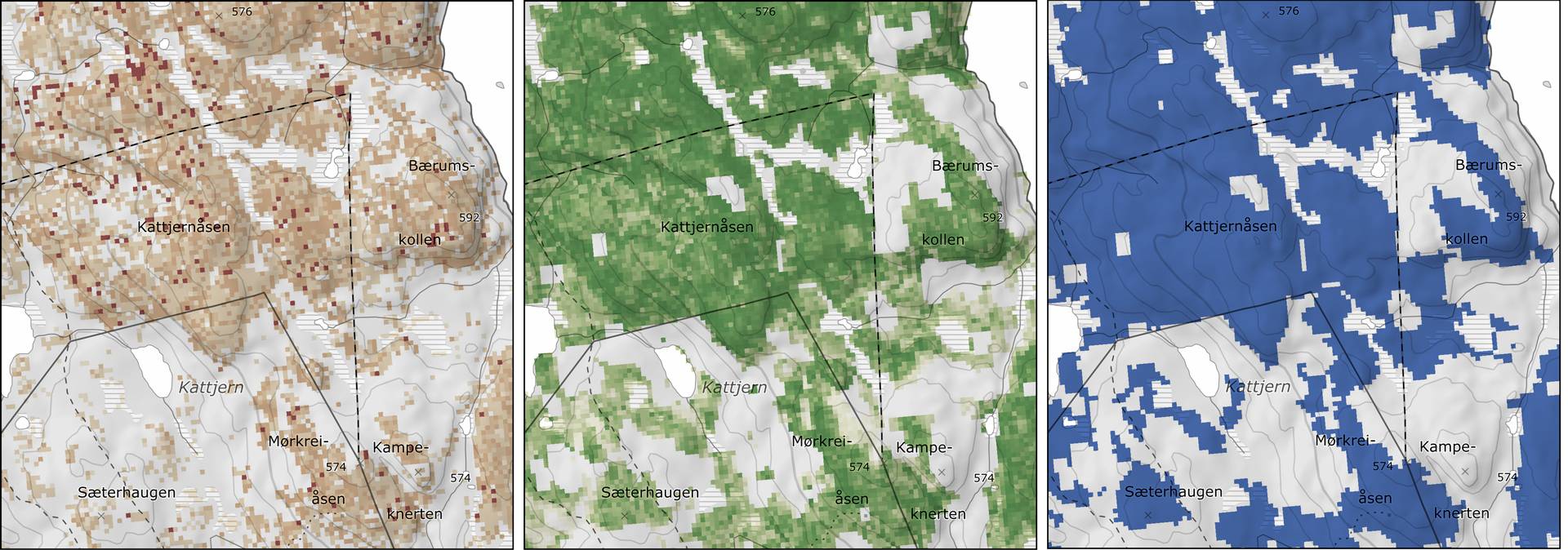 Første versjon av naturskogkartene
