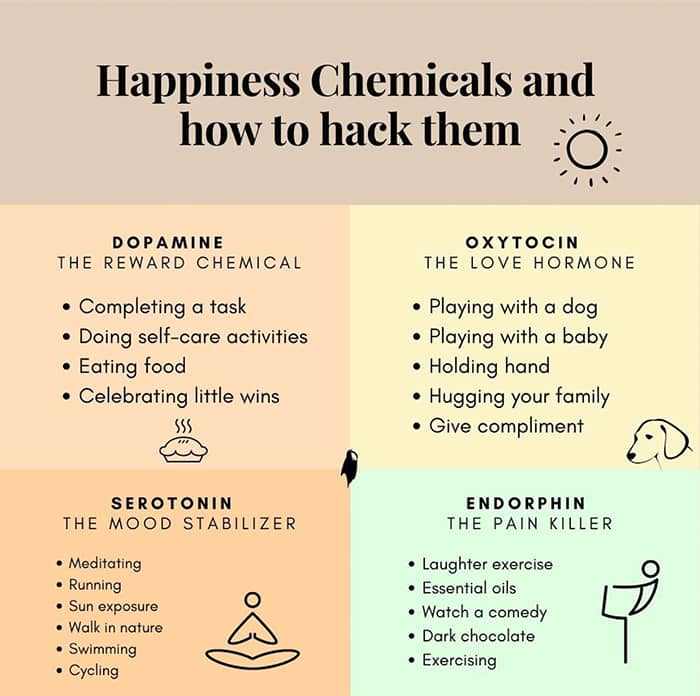 Happiness Chemicals and how to hack them