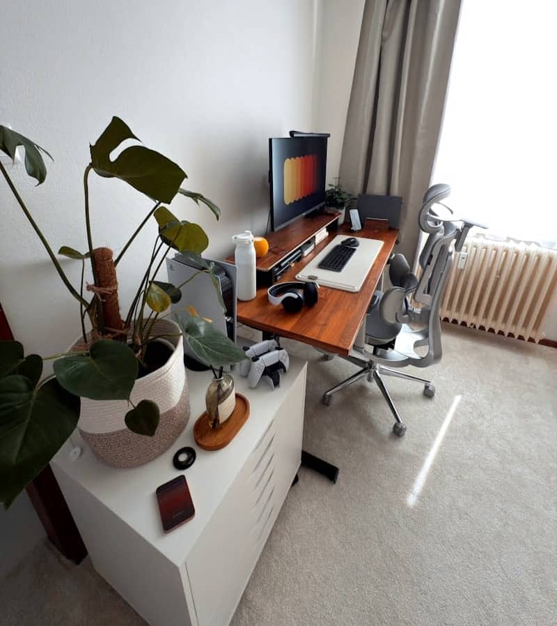 Desk with computer, chair, and potted plant.