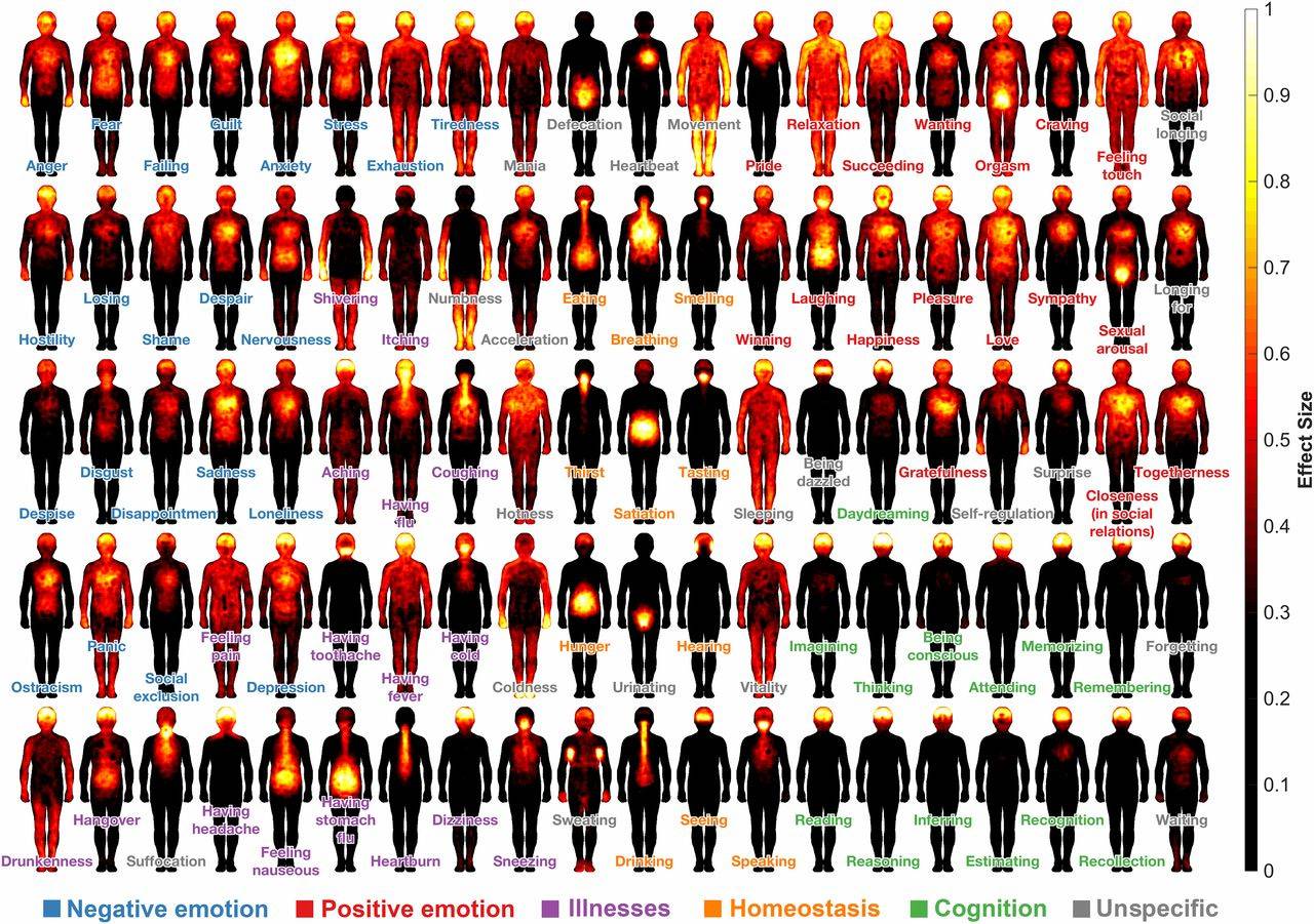 ?Fascinating article by Chris Lakin about feeling our feelings in our body