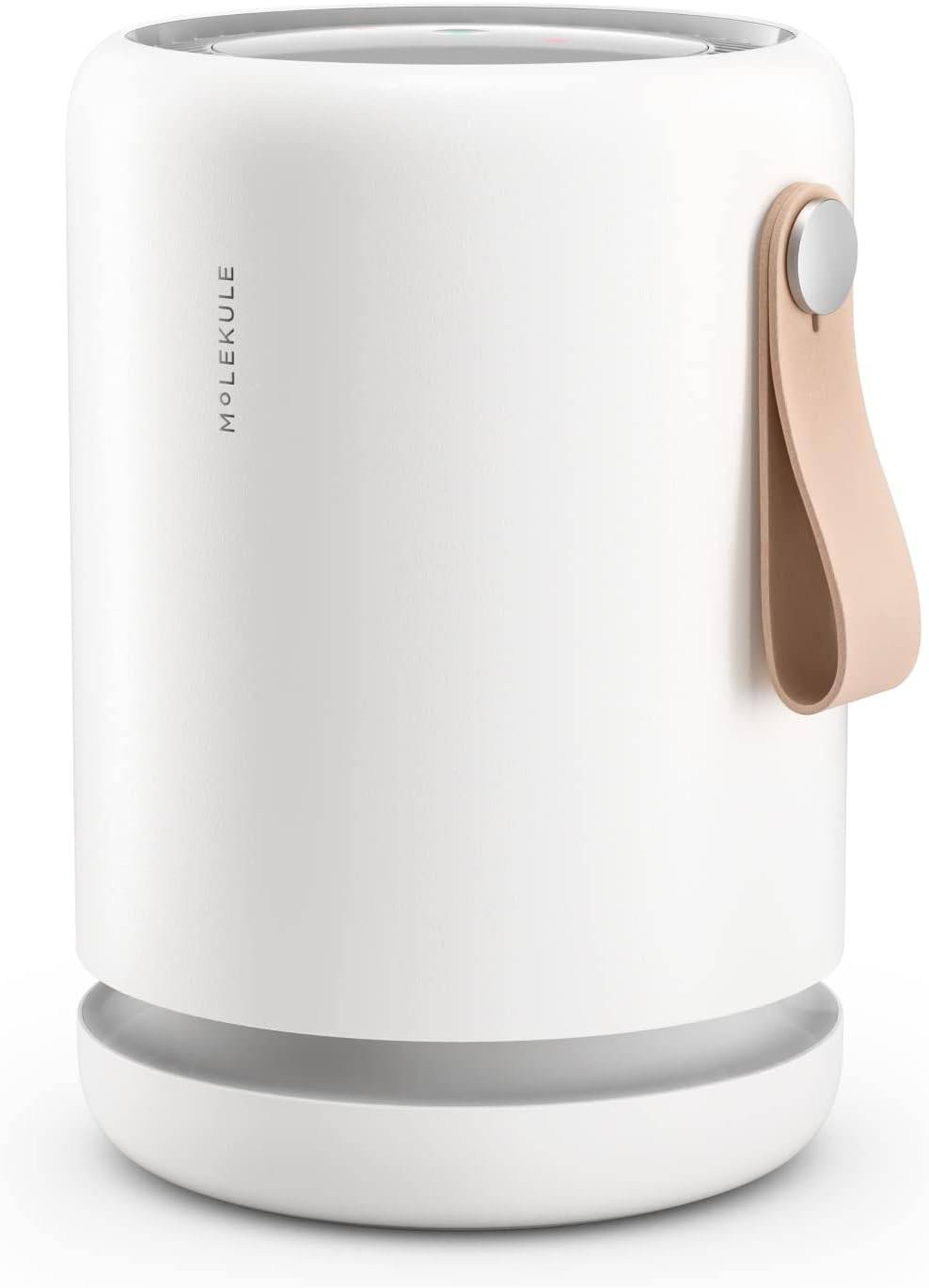 molekule air mini